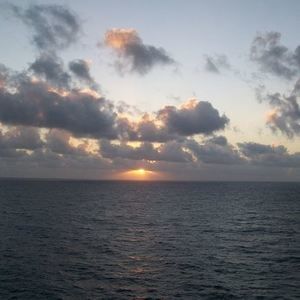 Meet your Posher, Robyn